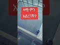 ላሟ ምን አደረገች?