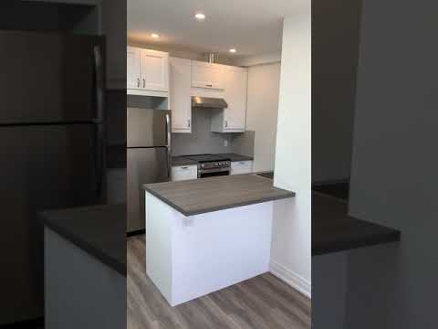 Newly Renovated 1 bedroom w rooftop deck