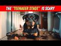 Things NOBODY Tells You About Owning A Rottweiler