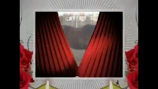 My Rainbow Bridge Babies