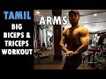 Best Full Biceps and Triceps Workout - Tamil Arm Workout