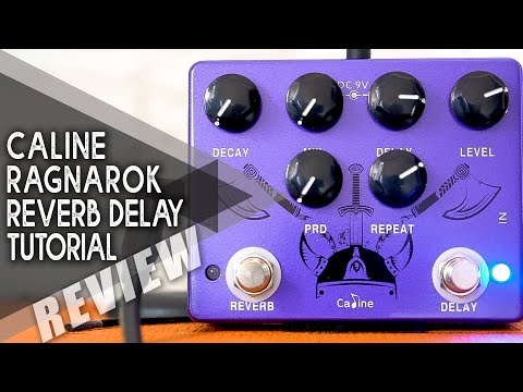 AWESOME Budget REVERB DELAY | Caline CP-80 Ragnarok | VIDEO REVIEW [NO TALK]