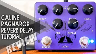 Video thumbnail for AWESOME Budget REVERB DELAY | Caline CP-80 Ragnarok | VIDEO REVIEW [NO TALK] by Perry Frank