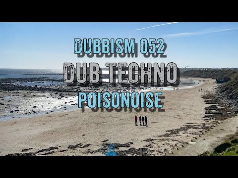 Dub Techno Session 2022 | DUBBISM 052 - Poisonoise