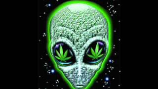 B.E.L-mighty plant