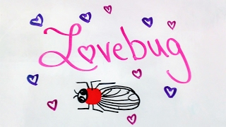 Lovebugs: Herbie the Love Bug Doesn’t Love Lovebugs