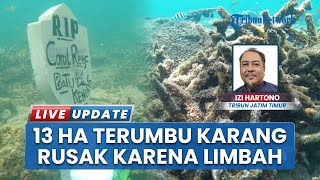 Aktivis Lingkungan Desak DPRD Beri Solusi soal Rusaknya13 Hektare Terumbu Karang di Situbondo