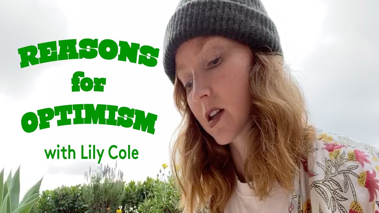 Reasons for Optimism with Lily Cole