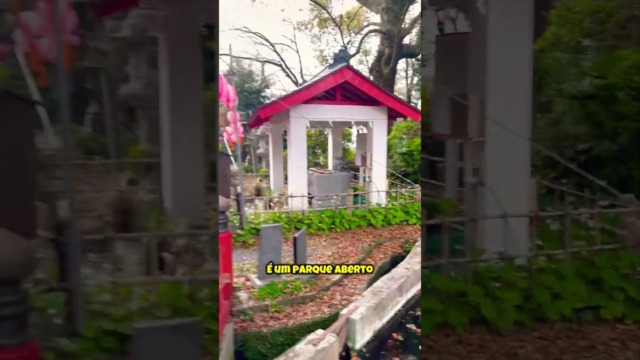 CURIOSIDADES DO JAPÃO 🇯🇵