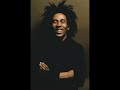 Bob Marley Lively Up Yourself Instrumental