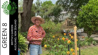 From Stormwater Drain to Garden Oasis: Britta’s Creative Backyard Transformation in Beachlands