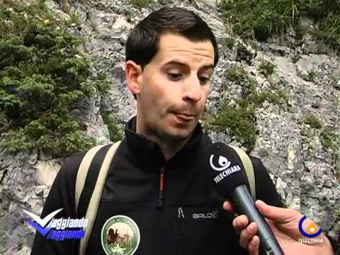 VIAGGIANDO VIAGGIANDO 20-08-11 ORTIGARA 01