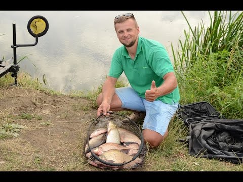 Rzeczne leszcze cz. 1