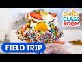 Visit An Ice Cream Shop With Caitie Caitie S Classroom Field Trip Food Video For Kids