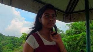 Inside Mount Harriet National Park