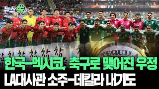 "한국이 지면 소주, 멕시코가 지면 데킬라" 월드컵 앞두고 LA에서 벌어진 베팅 외교 [뉴스쏙] / 연합뉴스TV(YonhapnewsTV)