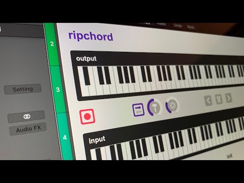 Ripchord Overview and DAW Setups