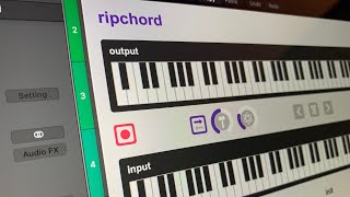 Ripchord Overview and DAW Setups