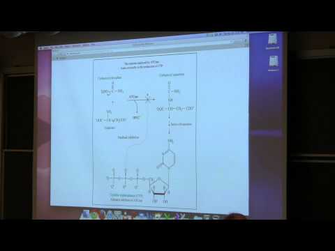Ahern's BB 350 at OSU - 10. Enzymes Control I