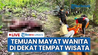 LIVE: Temuan Mayat Wanita di Lokasi Wisata Bantimurung Maros, Diduga Tewas Dianiaya Kekasih