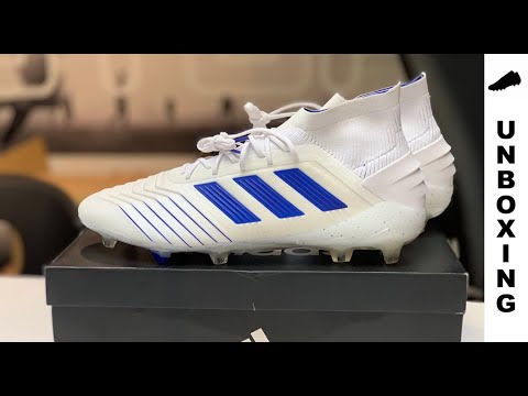 adidas Predator 19.1 FG/AG Virtuso pack - Footwear White/Bold Blue