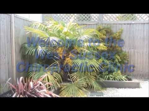 West Sussex Chiropractic Clinic  What To Expect Video