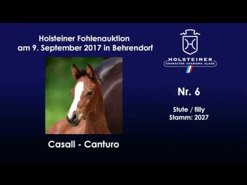 Nr. 6 v. Casall - Canturo