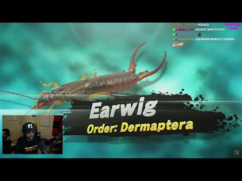 ImDontai Reacts To TierZoo The Insect Tier List