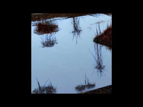 Shush Ft YSTH RAYDAREAL