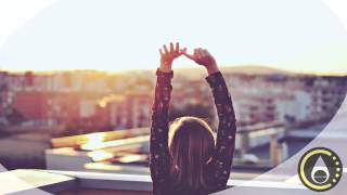 Owl City & Carly Ray Jepson  - Good Time ( Savo Remix )