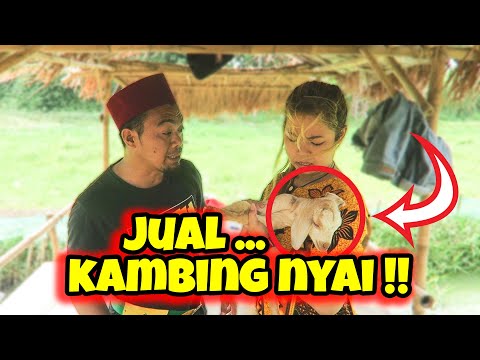 ngakak-bareng-bekatul-jual-kambing-nyai