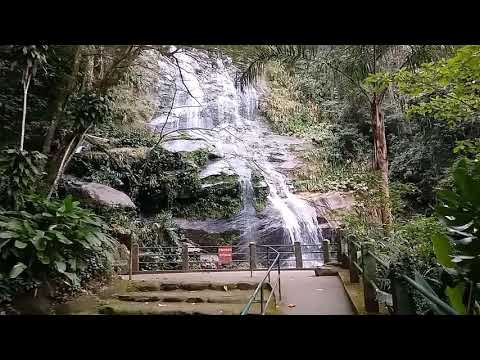 A História do Parque Nacional da Tijuca