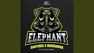 Elephant Music Video