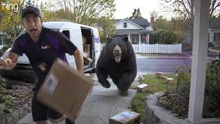 Delivery Drivers vs Animals | When Things Go Wrong