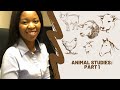 Grade 10 Animal Studies Part 1 Agricultural Sciences