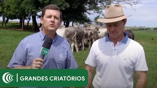 Miniatura do vídeo
