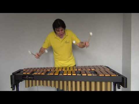 Giya Kancheli/Andrei Pushkarev - "Miniature for Vibraphone #32"
