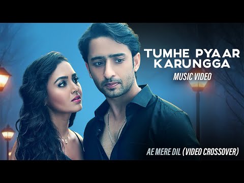 Shaheer Sheikh & Tejasswi Prakash — watch video