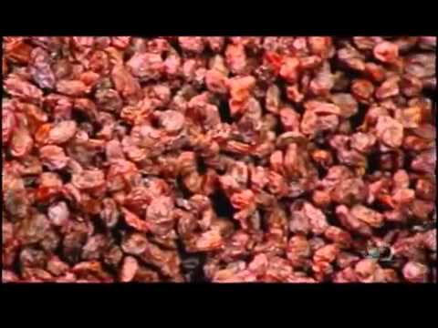 How its made raisins