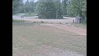 Brown County - Reforestation Camp - Ski Trail Cam