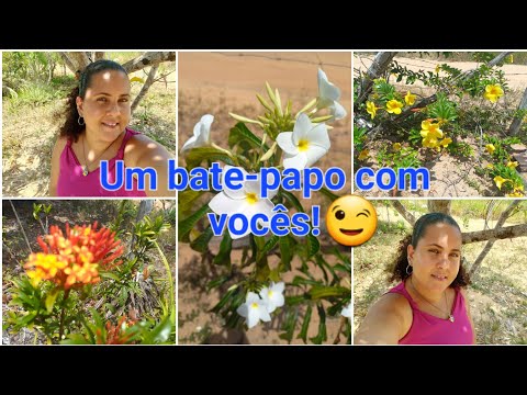 Mostrando pra vcs minha casa na roça de Itanagra Bahia.