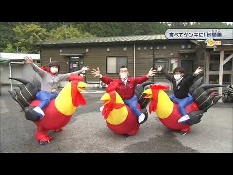 2022年5月14日(土)放送 「食べてゲンキに！地頭鶏」