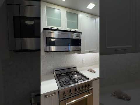 video 1
