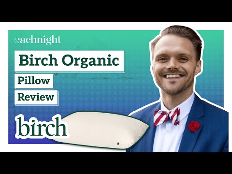 Birch Organic Pillow Review by Dr. Jordan Burns | Best Organic Pillow?!