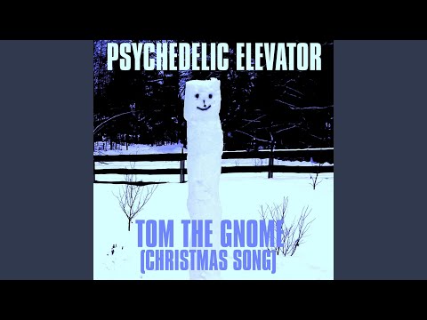 Psychedelic Elevator - Tom The Gnome (Christmas Song)
