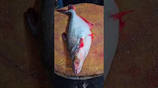Download lagu Sundar machi basa fish cutting skills #trending #shorts #short #instagram #food #viralvideo #fish mp3 Download lagu Sundar machi basa fish cutting skills #trending #shorts #short #instagram #food #viralvideo #fish mp3
