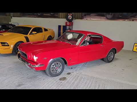 For Sale 1964 Ford Mustang Fastback V8
