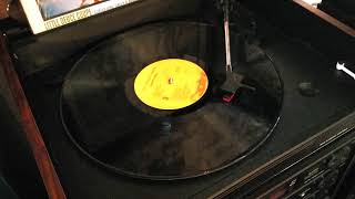 The Beach Boys - Your Summer Dream (Vinyl)