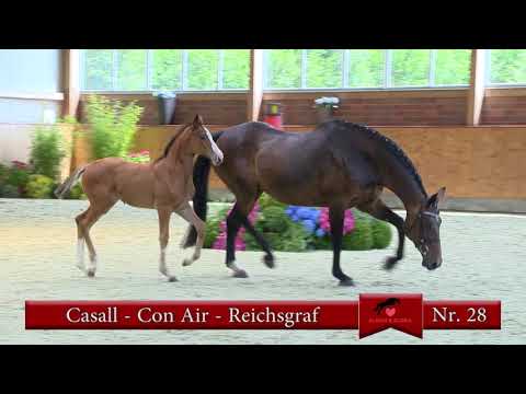 Nr 28 Casall   Con Air   Reichsgraf