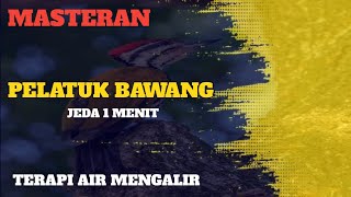Download lagu SUARA BURUNG PELATUK BAWANG | UNTUK MASTERAN BURUNG LOMBA mp3